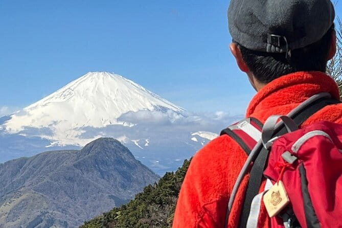 Private Hakone Half-day Car Tour with Hotel Pickup - Local Guide - Owakudani and the Hakone Ropeway