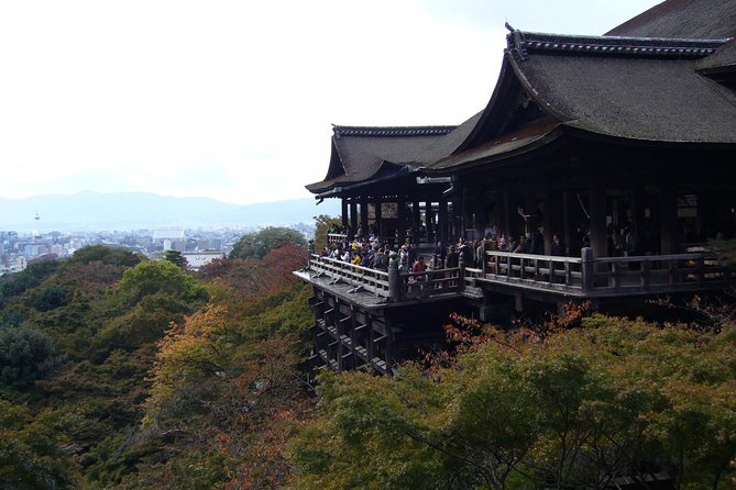 Private Highlights of Kyoto Tour - The guide makes the difference