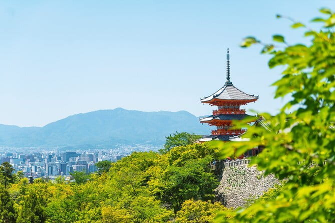 Private Kyoto Customizable Day Tour with English Speaking Driver - Fushimi Inari and the red torii gates