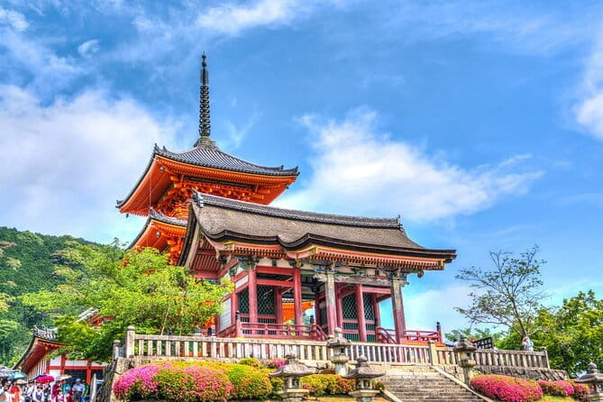 Private Kyoto Customizable Day Tour with English Speaking Driver - What your driver may actually do