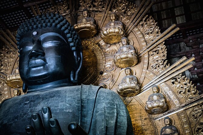 Private Kyoto Tour by Car with Optional Nara or Osaka Add-Ons - Katsu’s role makes the difference