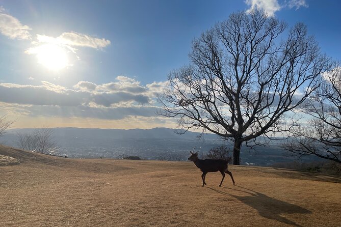 Private Kyoto Tour: Explore the Most Iconic Sights - Kiyomizu-dera above Kyoto’s eastern hills