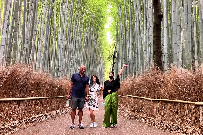 Private Kyoto Tour with Licensed Guide & Vehicle (Max 15 persons) - Kinkaku-ji, Ryoan-ji, and the northwest temples