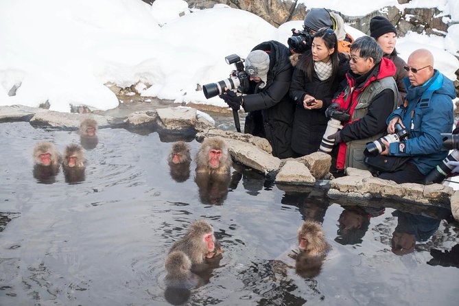 Private Nagano 1-Day Tour:Snow Monkeys,Zenko-ji,Obuse,Sake,Onsen - A private car or public transport changes the experience