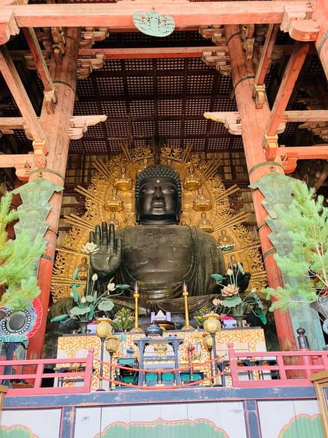 Private Nara Tour from Osaka – Meet at Your Hotel - Himuro Shrine adds a different kind of sacred space