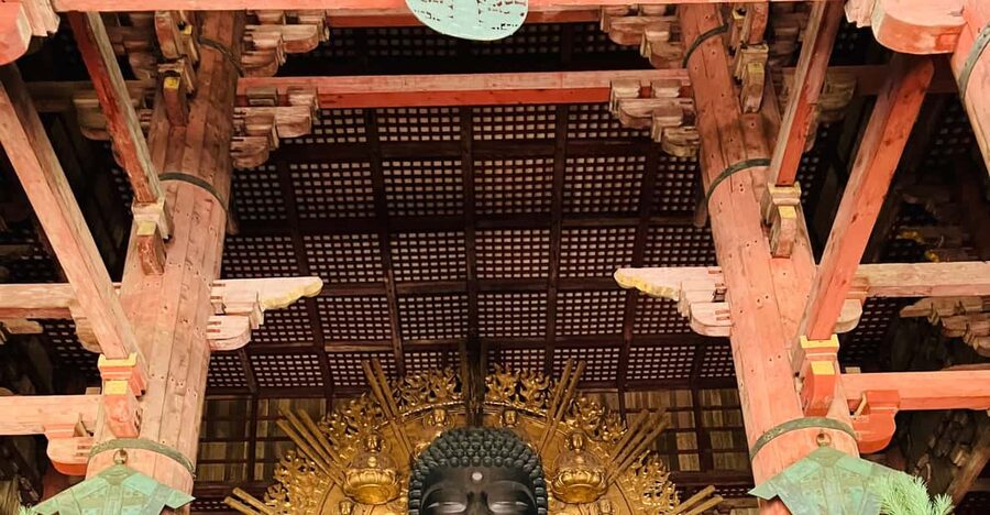 Private Nara Tour from Osaka – Meet at Your Hotel - Why the private guide changes the experience