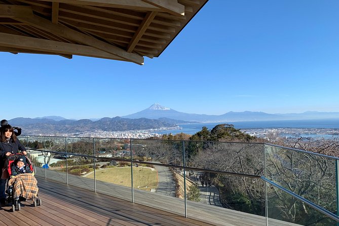 Private sightseeing tour from Shimizu Port / Van Taxi - Riding the Nihondaira Ropeway to Kunozan Toshogu