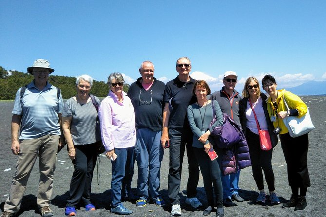 Private sightseeing tour from Shimizu Port / Van Taxi - Nihondaira’s observatory and the Fuji question