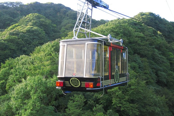 Private sightseeing tour from Shimizu Port / Van Taxi - Miho no Matsubara, pine trees, and black sand