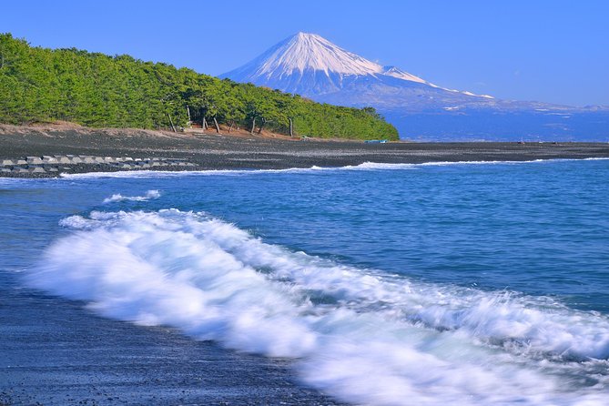 Private sightseeing tour from Shimizu Port / Van Taxi - How the guide changes the experience