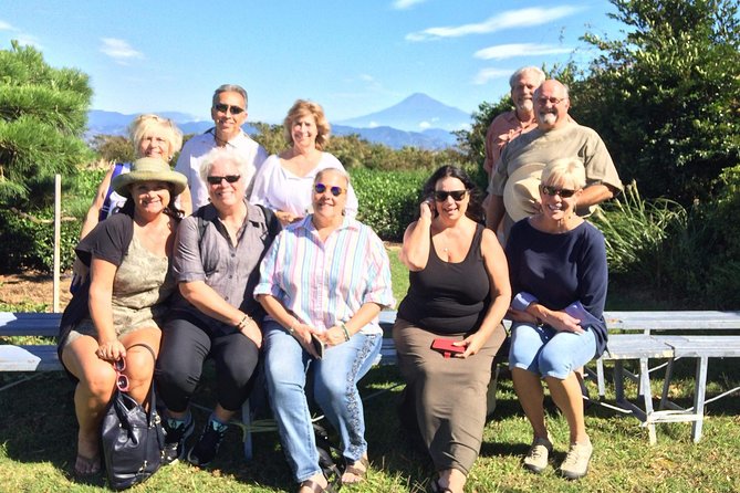 Private sightseeing tour from Shimizu Port / Van Taxi - Price, group size, and what you really get