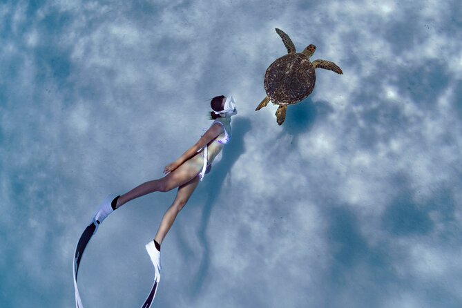 Private snorkeling tour Ishigaki island - Key points to know before booking