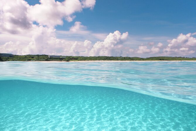 Private snorkeling tour Ishigaki island - Kabira Maetake Farm and the Ishigaki fruit stop