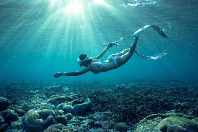 Private snorkeling tour Ishigaki island - GoPro photos make the price easier to justify