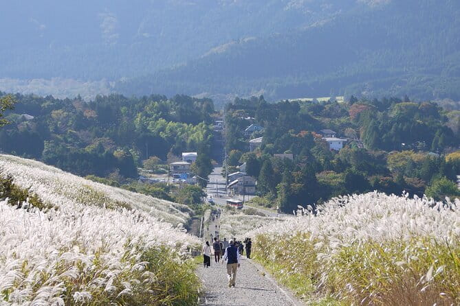 Private Tour - Hakone Day Trip! A Tour to Explore All Must-Sees! - Lunch at Togendai View Restaurant
