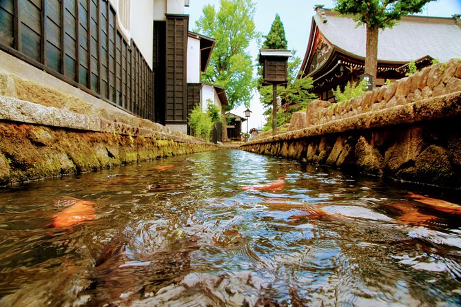 Private Tour Kanazawa, Shirakawago, Hida Furukawa,Takayama - Who will enjoy this day most