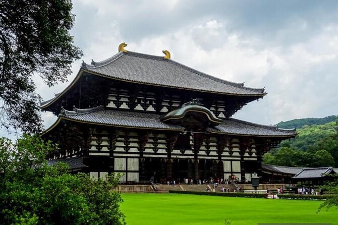 Private Tour Kyoto-Nara w/Hotel Pick Up & Drop off from Kyoto - Driver-host or licensed guide?