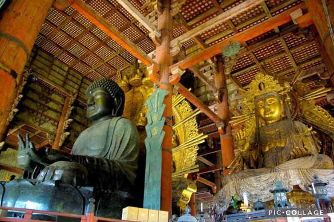 Private Tour Kyoto-Nara w/Hotel Pick Up & Drop off from Kyoto - Lunch, walking, and the pace of the day