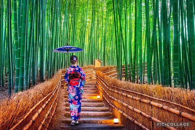 Private Tour Kyoto-Nara w/Hotel Pick Up & Drop off from Kyoto - Fushimi Inari: red gates and a choice about walking