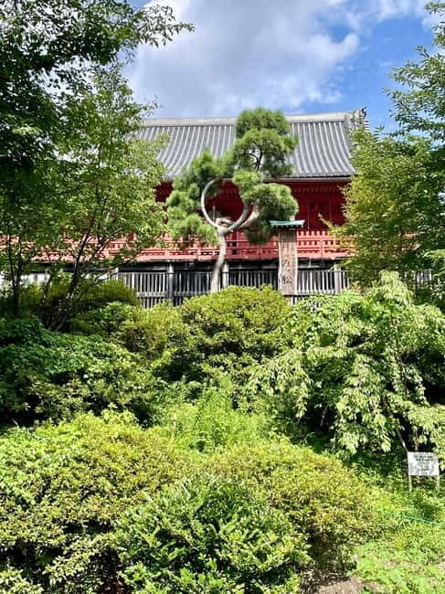Private Tour Through the Tokyo National Museum & Ukiyo-e - Is $74 per person good value?