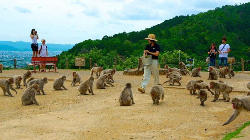 Private Tour to Monkey Park and Arashiyama Highlights - The uphill walk to Iwatayama Monkey Park
