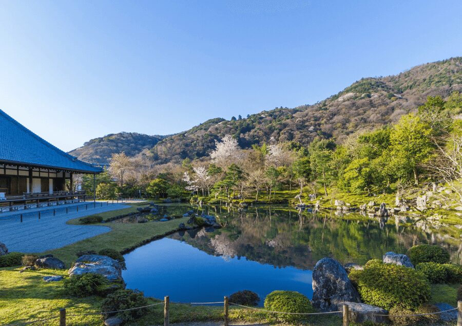 Private Tour to Monkey Park and Arashiyama Highlights - Walking the Arashiyama Bamboo Forest