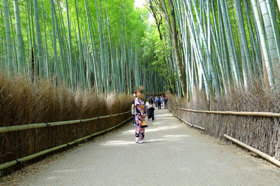 Private Tour to Monkey Park and Arashiyama Highlights - Timing, fitness, and who should book