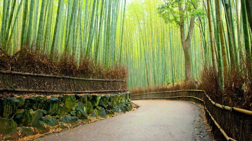 Private Tour to Monkey Park and Arashiyama Highlights - Finding the guide at Hankyu-Arashiyama Station