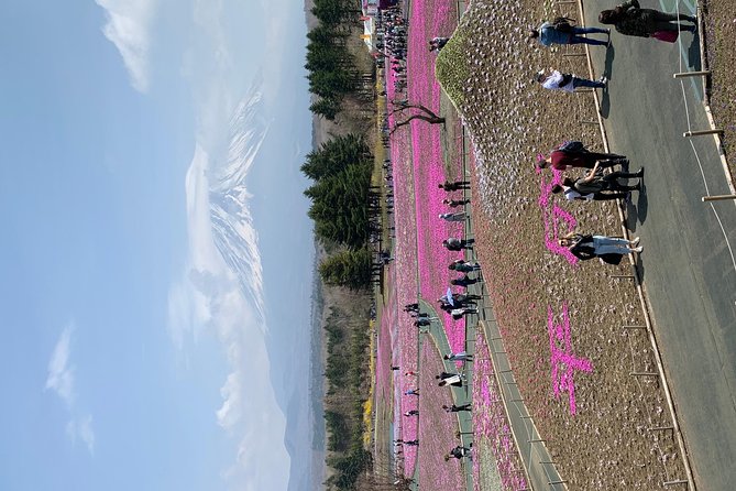 Private Tour to Mt. Fuji and Hakone (Fully Licenced Operator) - Oshino Hakkai, ponds, food, and a busy little village