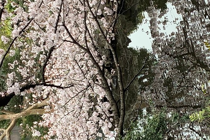 Private Tour to Mt. Fuji and Hakone (Fully Licenced Operator) - Chureito Pagoda and the 398-step decision
