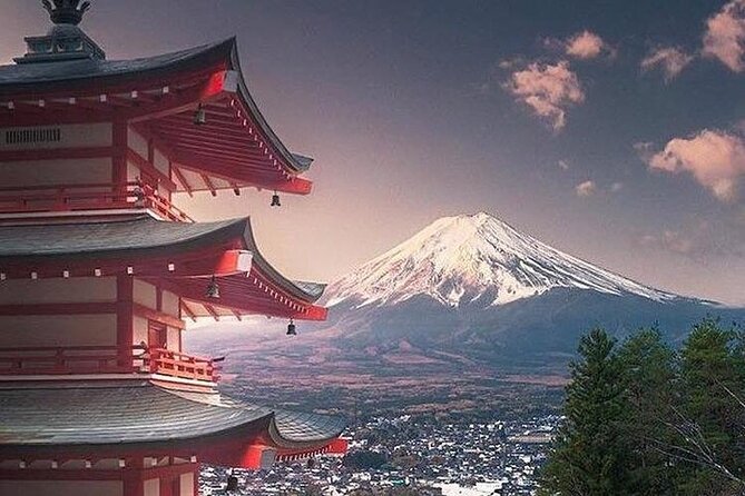 Private Tour to Mt. Fuji and Hakone (Fully Licenced Operator) - Shrines with a stronger sense of place