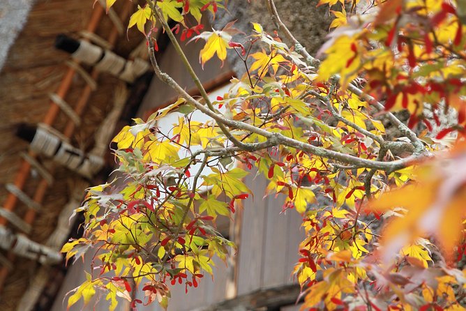 Private transfer Kanazawa to Takayama Including Shirakawago - Continuing to Takayama with your luggage