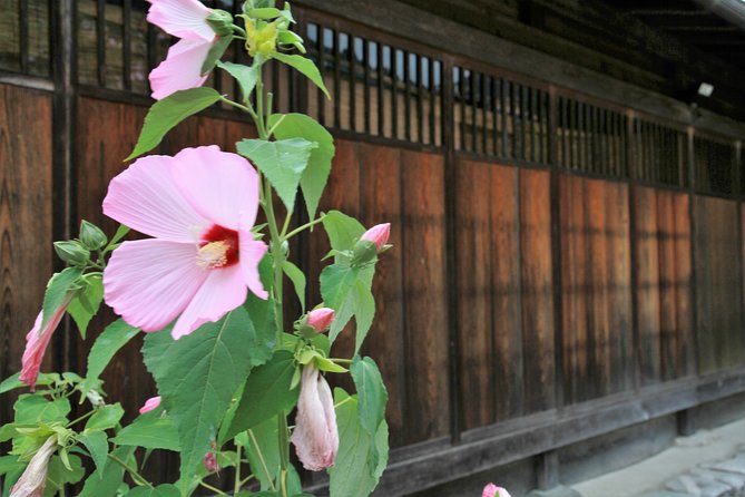 Private transfer Kanazawa to Takayama Including Shirakawago - Who should book this transfer?