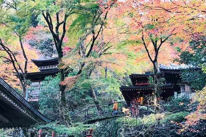 Private Walking Tour in Bamboo Forest & Hidden Spots in Arashiyama - Why this route gives you more than a bamboo photo