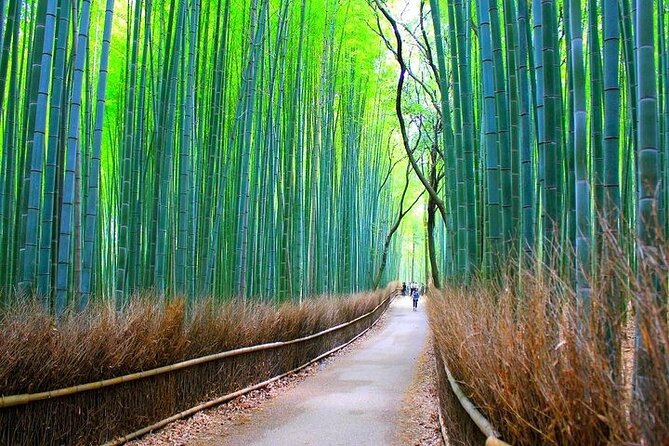 Private Walking Tour in Bamboo Forest & Hidden Spots in Arashiyama - Togetsukyo Bridge is a scenic finish