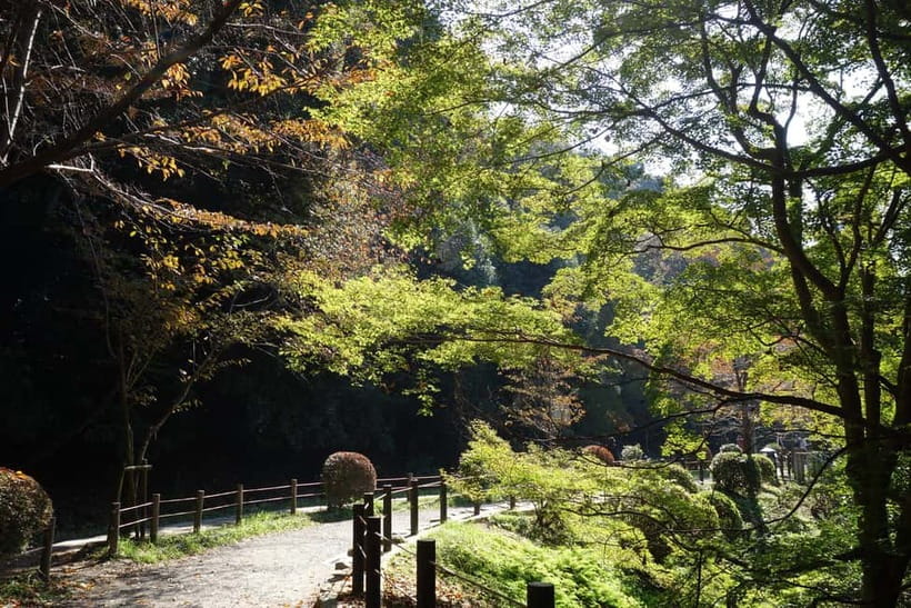 Sacred Pathways: Discover the Philosopher's Path of Kyoto - The four-hour pace and walking requirement