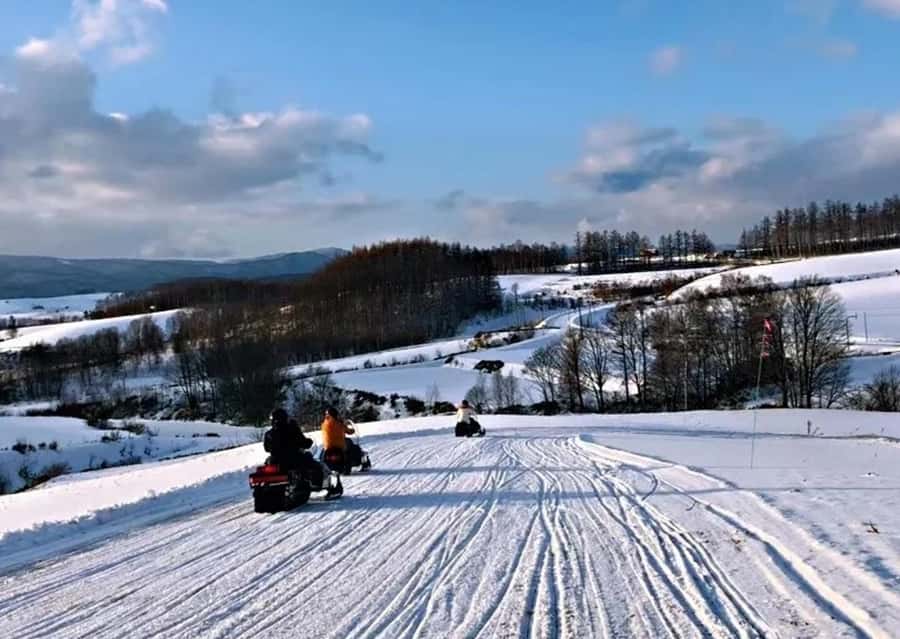 Sapporo: Furano Lavender & Biei Blue Pond Tour with Lunch - Roller Coaster Road through Biei’s farm country