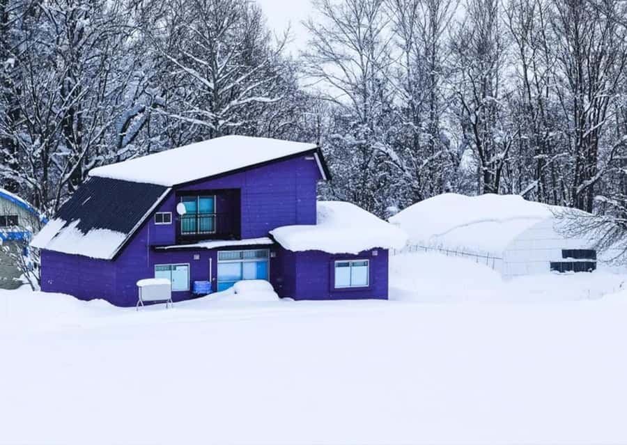 Sapporo: Furano Lavender & Biei Blue Pond Tour with Lunch - Lunch at Herb Garden Furano