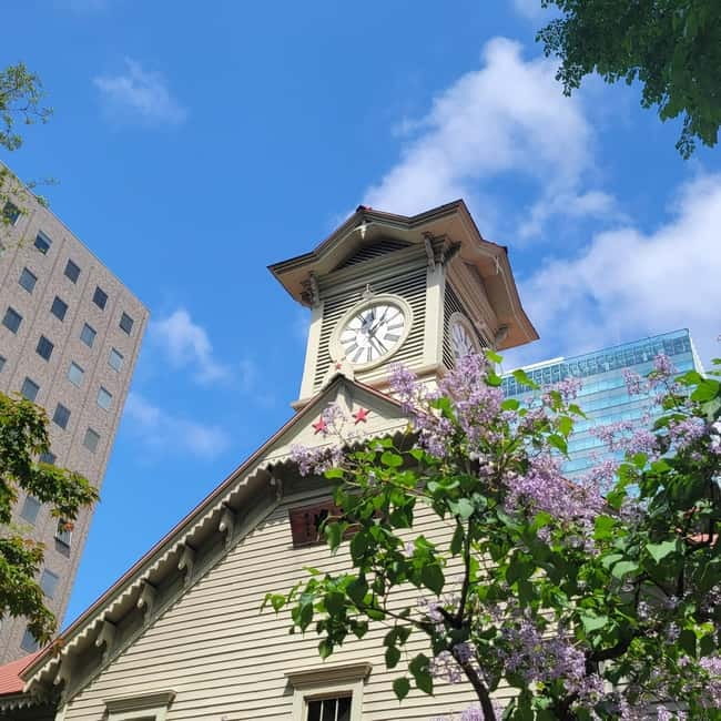 Sapporo Highlights: Golden Route Morning Guided Walking Tour - Why this short Sapporo walk works so well