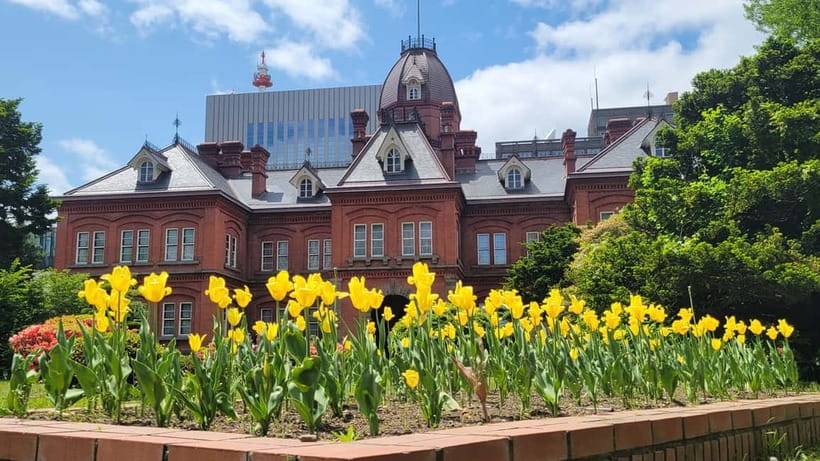 Sapporo Highlights: Golden Route Morning Guided Walking Tour - Weather, fitness, and what to bring