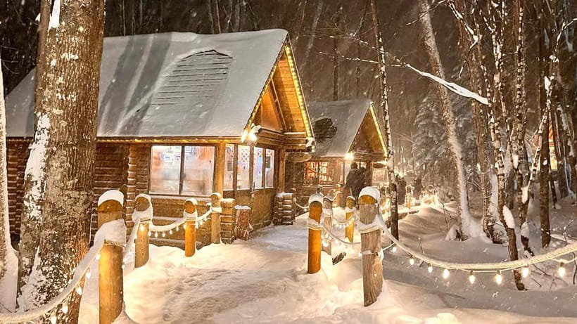 Sapporo Winter : Asahiyama Zoo (Penguin Fun & Snowmobile) - The Ken and Mary Tree, a quick photo stop