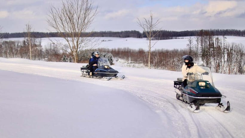 Sapporo Winter : Asahiyama Zoo (Penguin Fun & Snowmobile) - Guides, group size, and communication