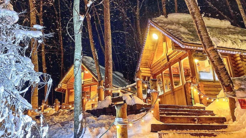 Sapporo Winter : Asahiyama Zoo (Penguin Fun & Snowmobile) - Who should book this winter tour?
