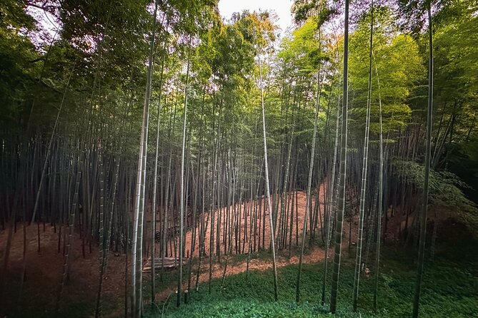 Scenic Green Tea Fields of Hidden Kyoto & Local Tea Exp (Private) - Should You Book the Wazuka Tea Tour?