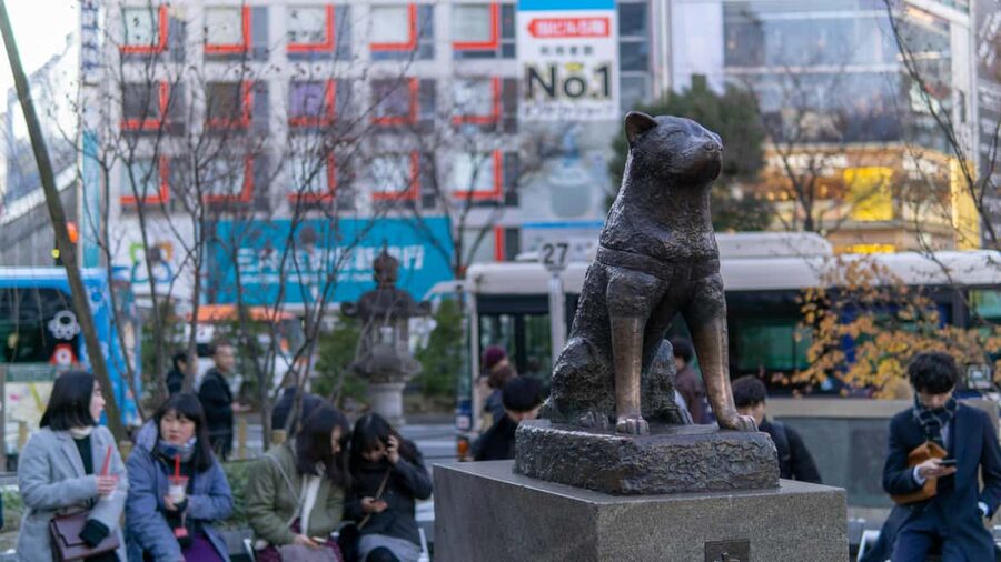 Shibuya: Crossing, Hachiko & Shibuya Sky Guided Tour - Walking through Center Gai and Basketball Street