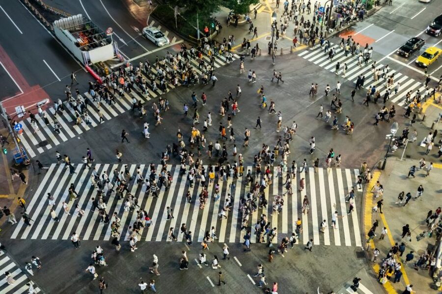 Shibuya & Harajuku: Hidden Gems & Highlights Private Tour - Food, cafés, and practical local advice