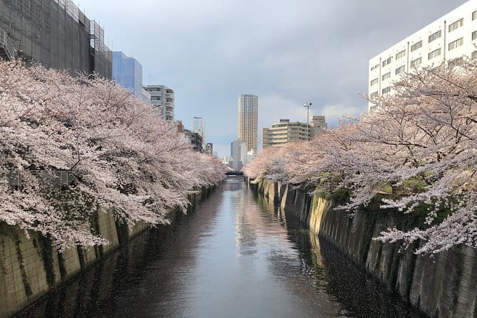 Shinjuku: Food Tour – 15 Dishes & 3 Drinks at 4 Eateries - Fifteen dishes sounds like a lot