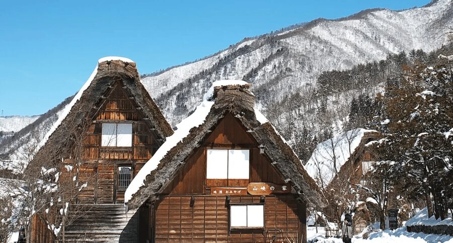 Shirakawago&HidaTakayama&GujoHachiman 1 Day Tour from Nagoya - Who should book this day tour?