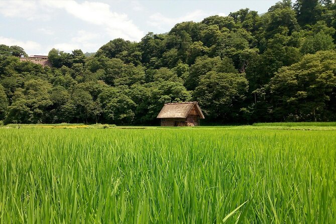 Shirakawago & Kanazawa from Kanazawa - Four hours among the gassho-zukuri houses