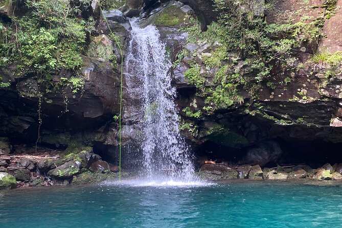Shizuoka: Advanced Canyoning Activity near Mt. Fuji - Rappelling down the rock